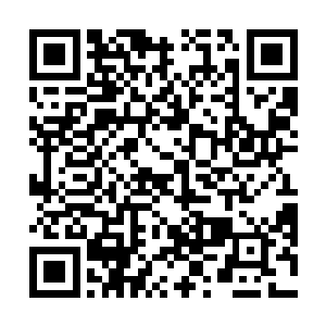 原来的庄稼地小村子突然的冒出了一片郁郁葱葱的树林二维码生成