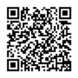 原来竟是从芭蕉仙根上得来的灵物炼制而成的仙宝二维码生成