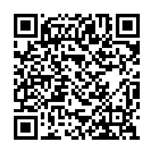 原来苏姑娘什么都看透了……她才第一次进宫啊二维码生成