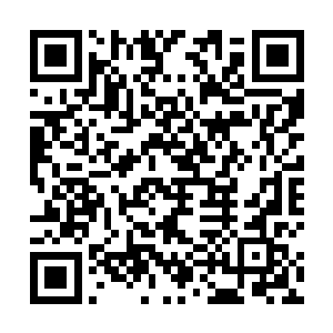 原来苏婶子不久前在美容院和一个同做美容的女人聊天二维码生成