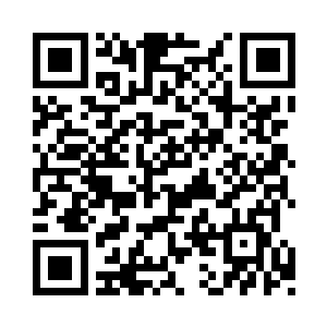 原来这两个人是不久前才刚从物质位面过来的二维码生成