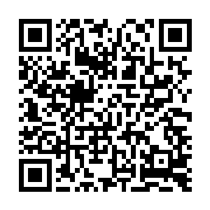 原来这个家伙是踩着他哥哥嫂子还有侄子的尸体爬上来的二维码生成