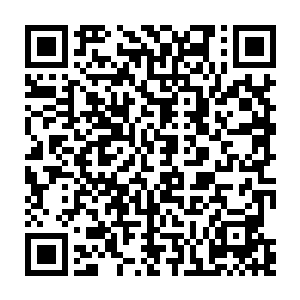 原来这个游戏世界果真是安排了每过几年就会爆发一次野兽袭击村子的戏码……二维码生成