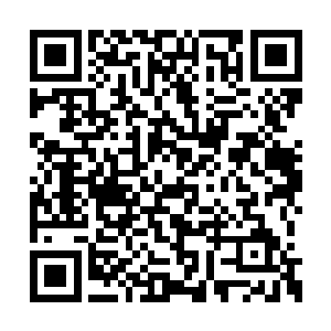 原来这个脚步声的主人还真的不是什么外人入侵二维码生成