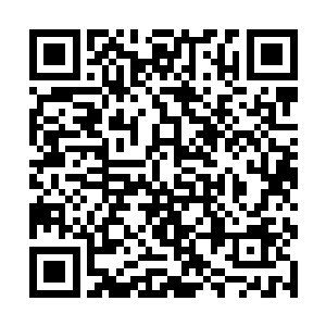 原来这个邪灵使者是把瓦丽莎当成邪灵仆从来转化了二维码生成