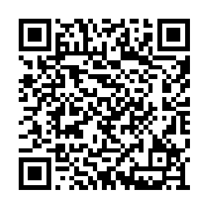 原来这五人是当初第一批在网络上声援她的粉丝二维码生成