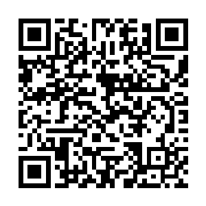 原来这位就是那据说千里迢迢从千周国来的长公主啊二维码生成