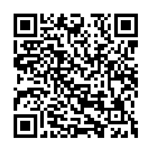 原来这大势力也知道赵家势力大到这样的地步啊二维码生成