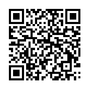 原来这家伙直接去攻击蜂王的老巢了二维码生成