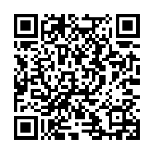 原来这片黑暗只是一条由遮天古树组成的隧道而已二维码生成