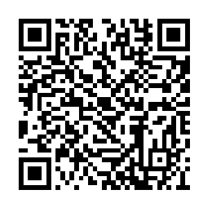 原来这老头儿竟是军中地位仅次于大司马的左卿二维码生成