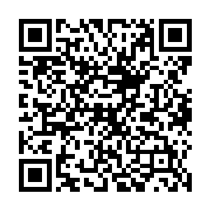 原来这黑夜老祖在地底世界的确是颇为神奇诡异的存在二维码生成