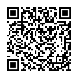 原来远处分明有俩王八蛋已经悄悄举起火箭筒了二维码生成