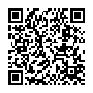原来追着界力之花给拉开一大片距离的道三境黑魔兵却赶过来了二维码生成