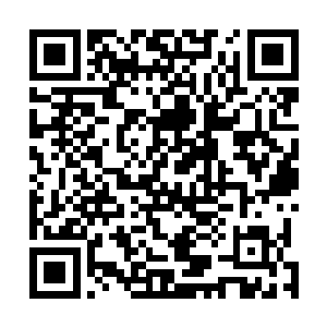 原来那个两把火老师把所有的学生都带到雀河边上课来了二维码生成