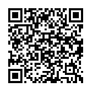 原来那个约定就是把我们飞龙部落的人全都撬走二维码生成