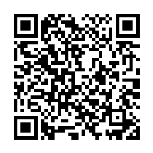 原来那云峥是同时斩断了端木凌和向清的四道元气爪痕二维码生成