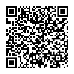 原来重伤的五行金兽和五行土兽与五只五行兽在巨大的城堡中周旋二维码生成