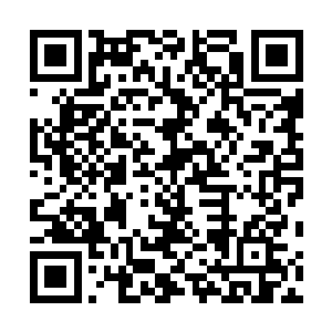 原石第一次看到一个五岁的孩子脸上有着如此复杂的神情二维码生成