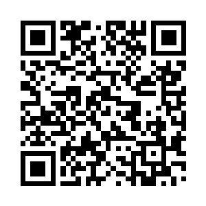 原谅我们的视角没有在一片地方停留太久二维码生成