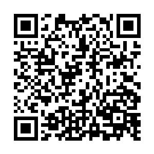 厨师这边就交给我妈他们……其他宣传推广的各种事宜二维码生成