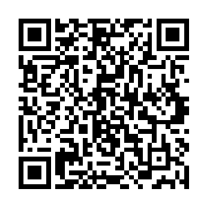厨房那边将早就准备好的一道道美味佳肴都端了上来二维码生成