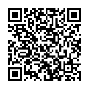 去为了一场场虚无缥缈的幻梦或者该死的骗局战斗二维码生成