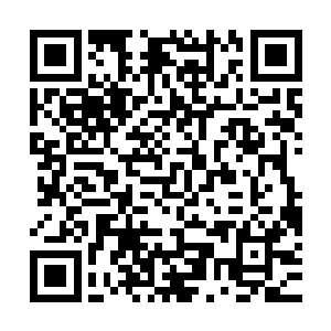 去享用自己的午休了――从食堂往拖车去的那一路狗仔无法拍到二维码生成