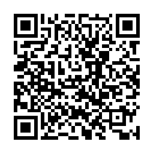 去关窗的绿蕉刚刚往外探出半个脑袋往昏暗中看了一眼二维码生成