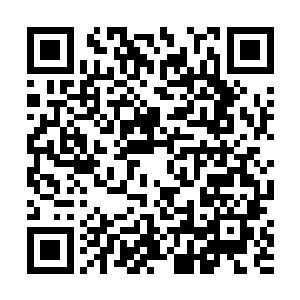 去准备今天晚上的庆祝宴会了……其实既然他回不来了二维码生成
