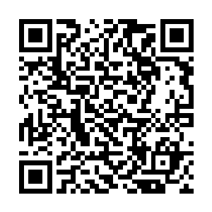 去完成一个都可以说实在危害京都人民安全的活动了二维码生成