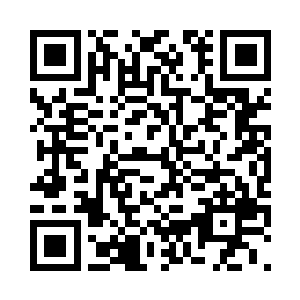 去寻找生命真正的意义和真正的自由二维码生成