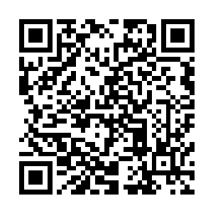 去年夏云杰曾因为张文斌的缘故进入金露啤酒公司跑过营销二维码生成