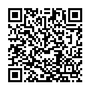 去年她一口气接下了两部大制作一部是郑中原的典型男主片二维码生成