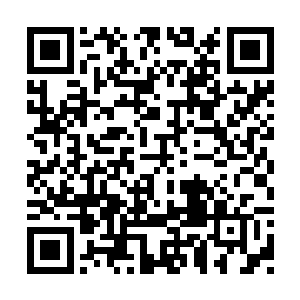 去年沈扬去西陵的时候顺便也将墨无忧带了过去二维码生成