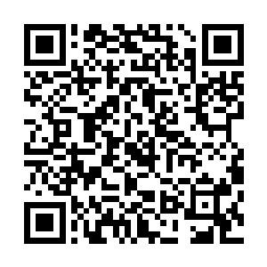 去年烛龙领也接受了一些与我们关系良好的豪门家族的请求二维码生成