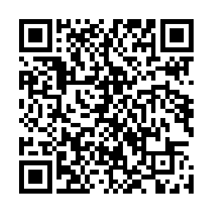 去年申报的地方公债几乎全数用于蠡泽新区基础设施建设上二维码生成