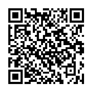 去年过年您都发了咱们一个攒盒的糖……奴婢还记得二维码生成