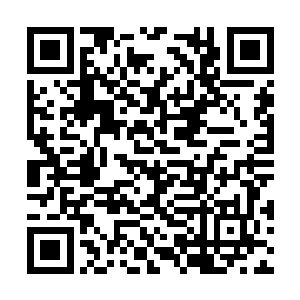 去年那个案子对卢向东来说也不见得就是一件坏事二维码生成