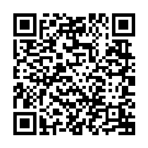 去核卵细胞利用电脉冲方法与早期胚胎细胞的细胞核融合的方式二维码生成