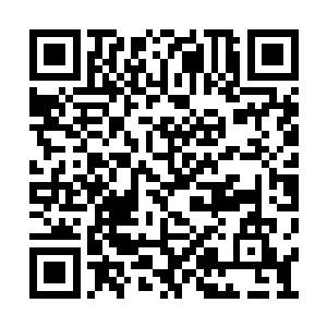 去碰妮娜这个不起眼但能把玉撞的粉碎的石头的二维码生成