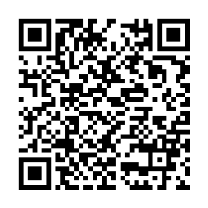 去这个名字就希望她像一只快乐可爱的黄鹂鸟一样二维码生成