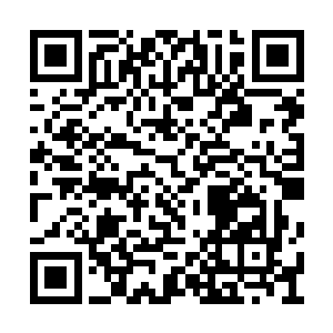 去问一个还没有真正成为自己宗门弟子的许紫烟二维码生成