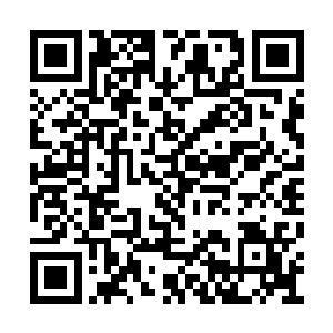 去骚扰骚扰林若溪这有夫之妇的价值不是更高么二维码生成