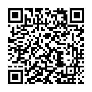 县乡公路改造的绿化工程将全部交由青山公司来完成二维码生成