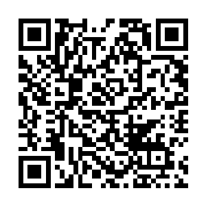 县委书记苗坤生同志除夕夜与五保老人一起包饺子纪实二维码生成