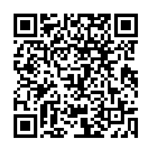 县委书记邵士昆长在看一份台山县河流水库分布图二维码生成