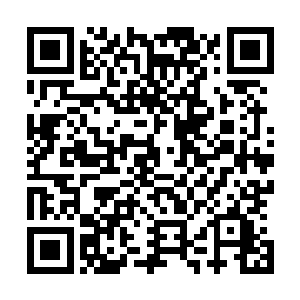 县尊不是把仓房的存粮都折合银两给守城青壮兑现赏银了吗二维码生成