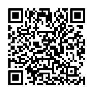 县旅发司那边以资金压力太大为由想要暂缓执行这一条款二维码生成