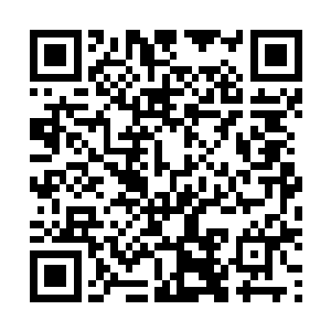 县长办公会决策给周里乡拨付500万元小城镇建设启动资金二维码生成
